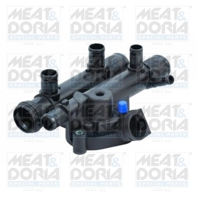 Thermostat, coolant